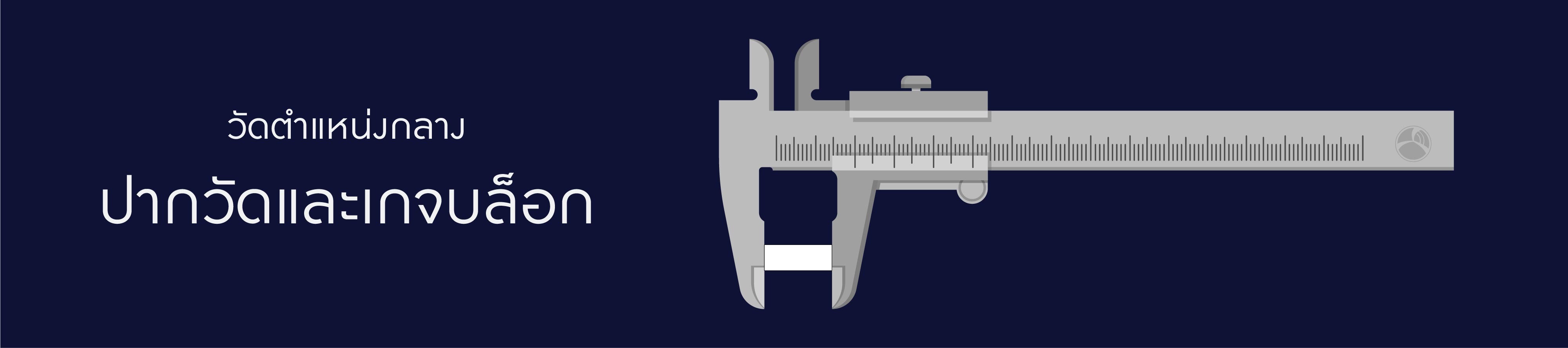 Micrometer Vector-04