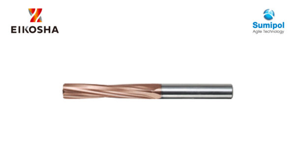 CSRH-P-02